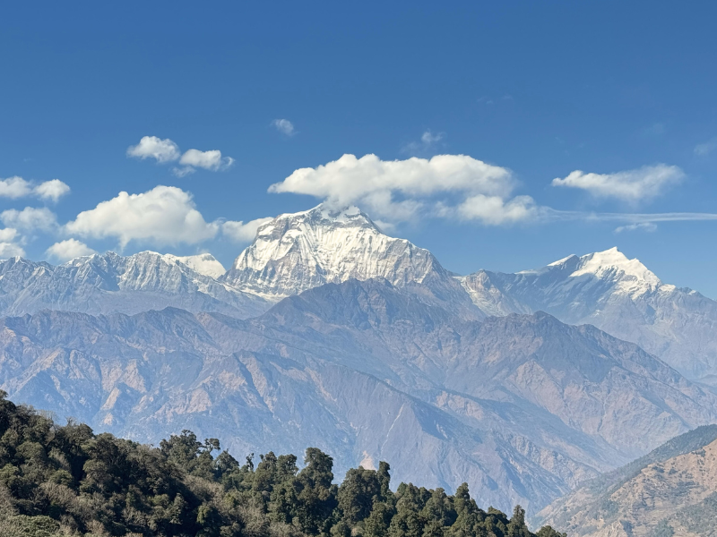 Annapurna Circuit vs Base Camp: Which Trek is Right for You?