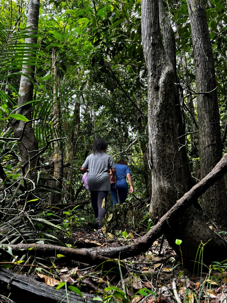 01Brazil-2D1N-Photo10