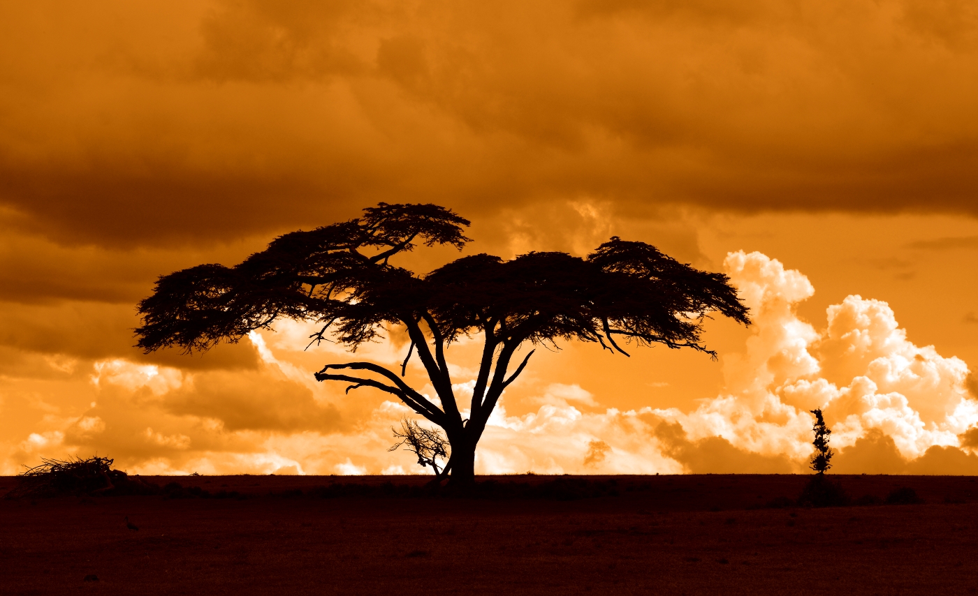 07Kenya-10D9N-Sunset Masai Mara-Photo09