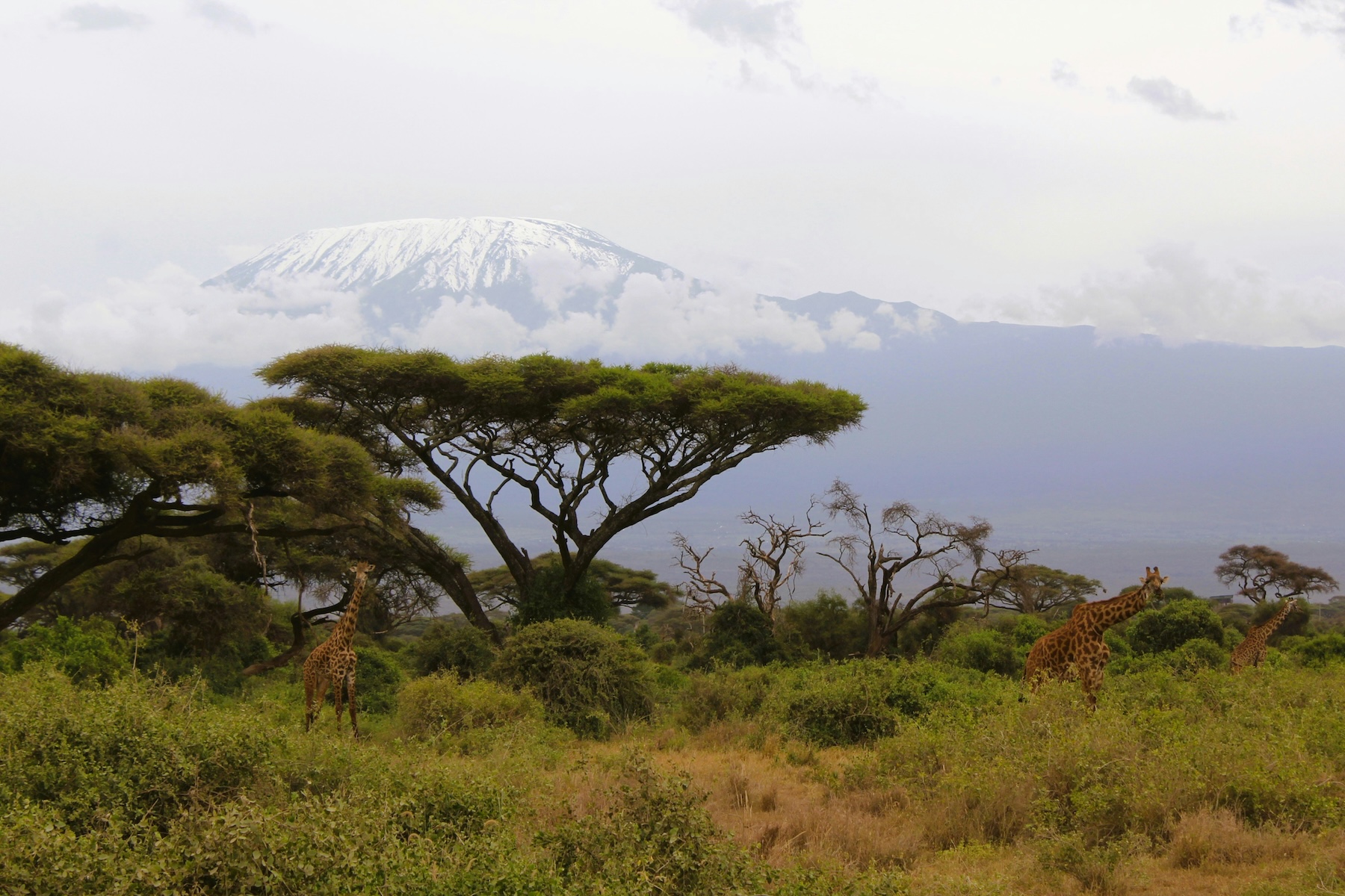 07Tanzania-10D9N-Photo01