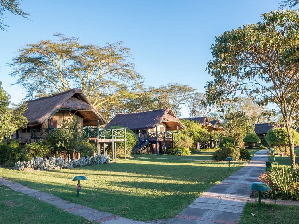 Hotel07_02.1 Kenya-8D7N tents