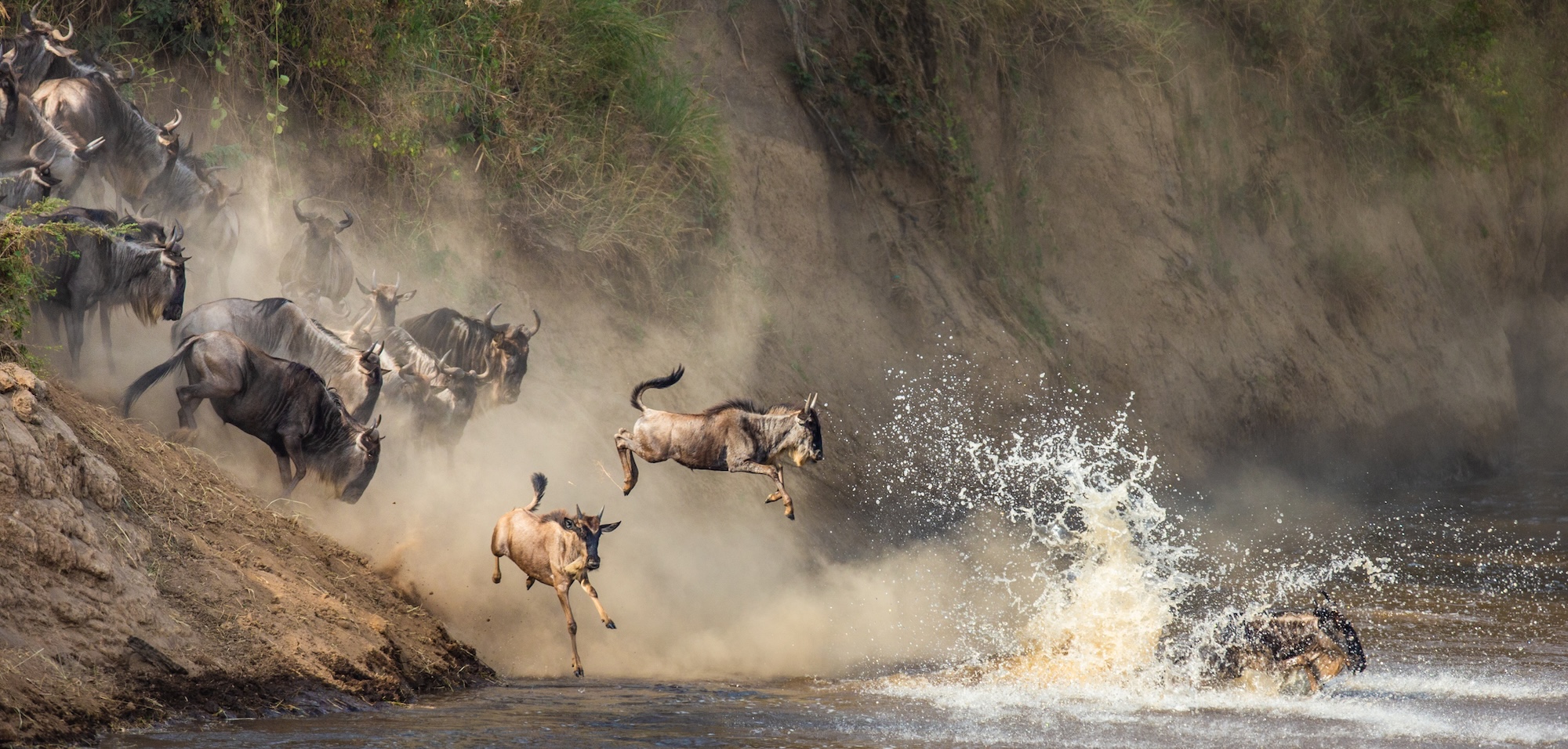 Photo01_04Kenya-6D5N Wildlife safaris - migration