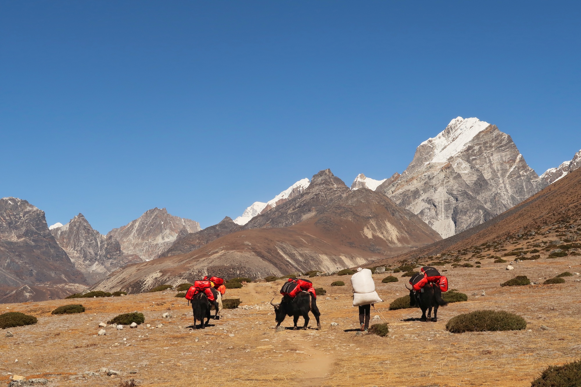 Photo02_01Nepal-16D15N