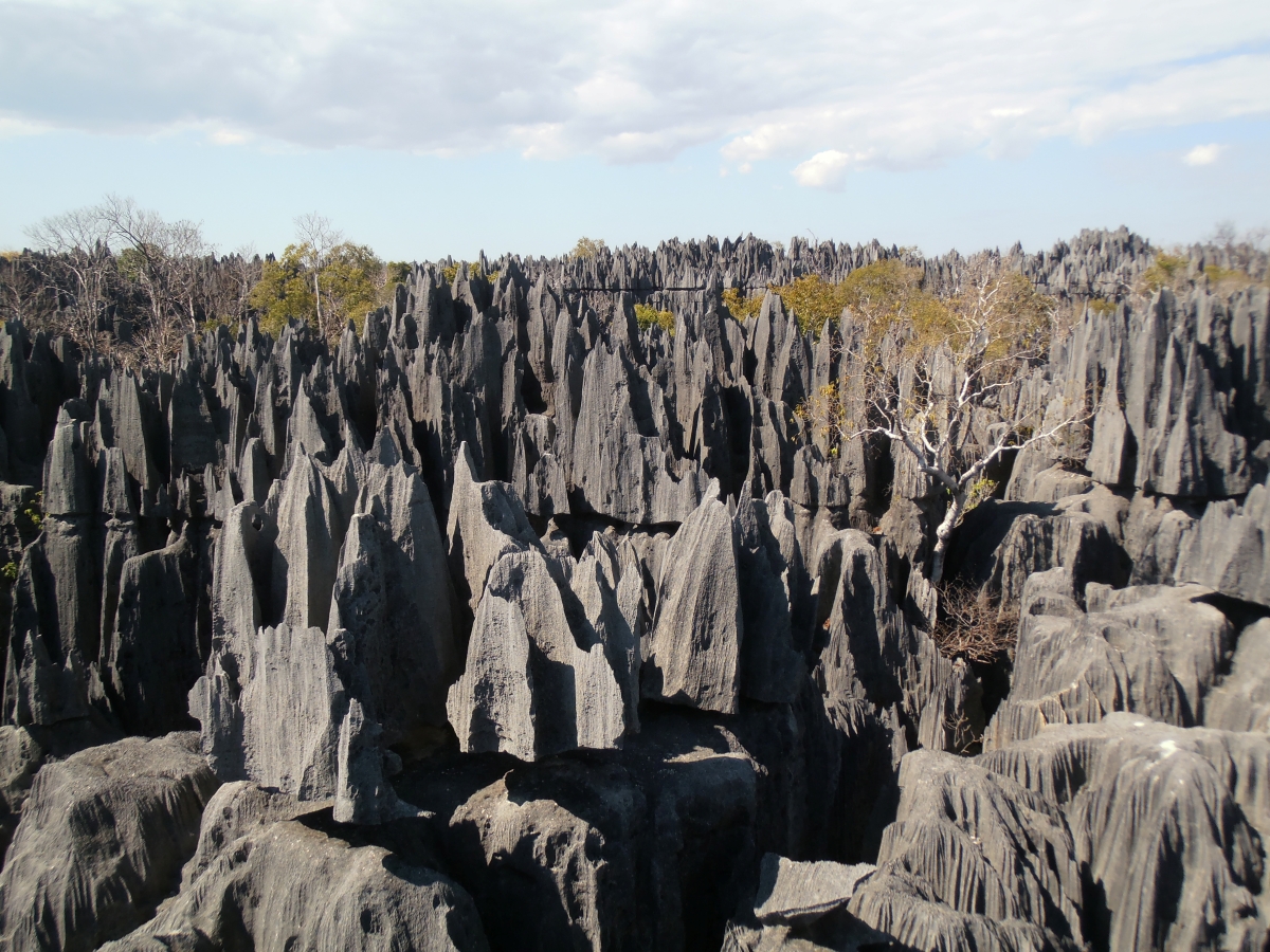 Photo05-03Madagascar-7D6N