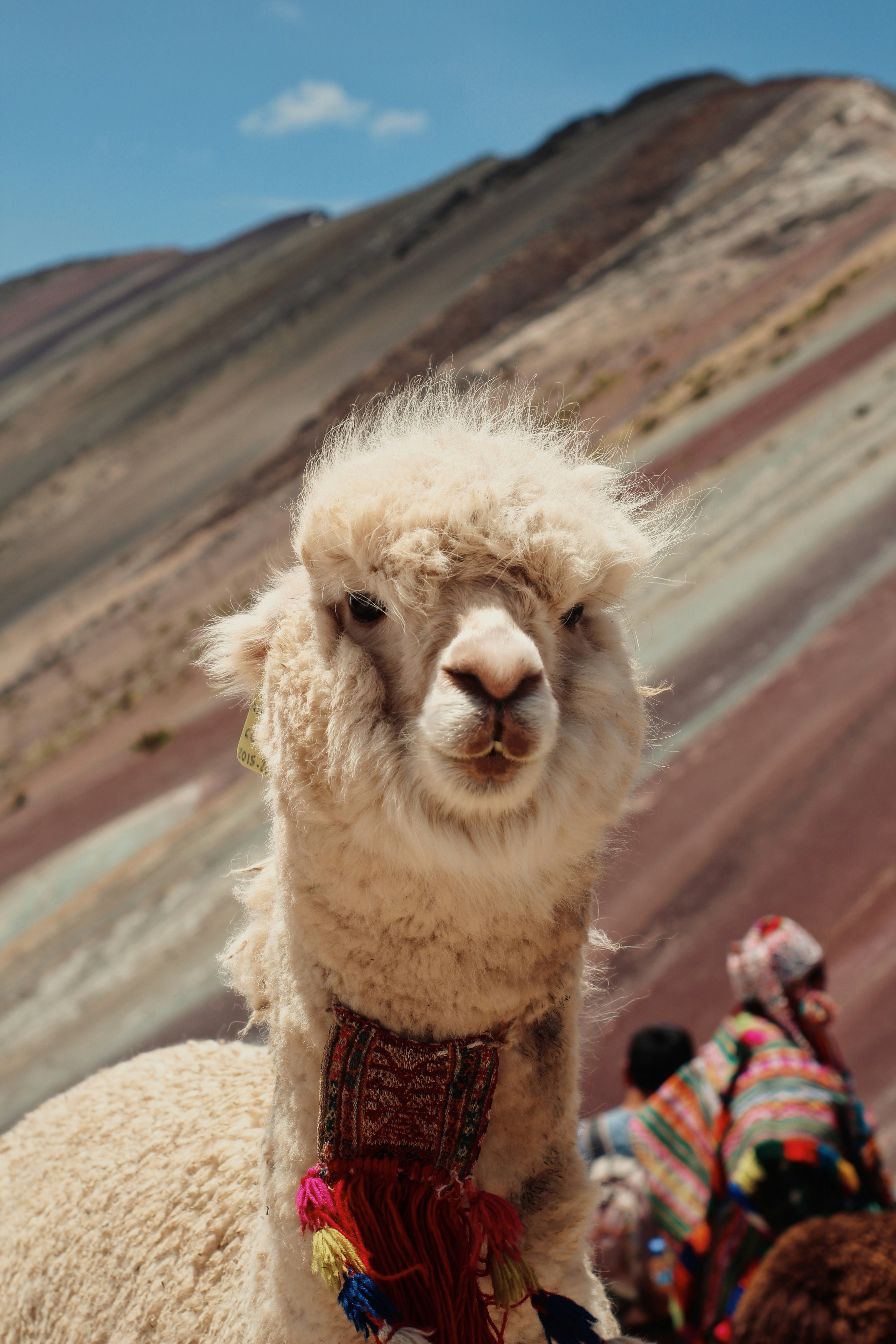 Cusco - Machu Picchu 1