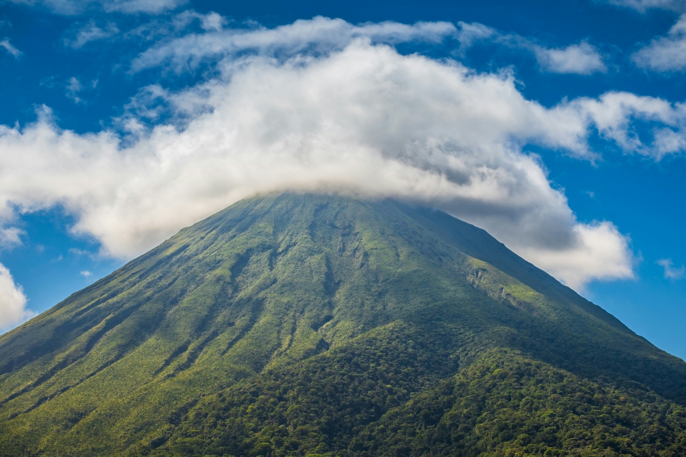 image 7 for 10 days costa rica