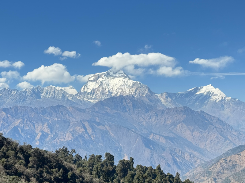 Annapurna poon hill trek 
